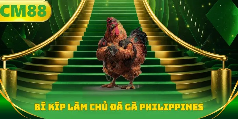 Bí kíp làm chủ đá gà Philippines