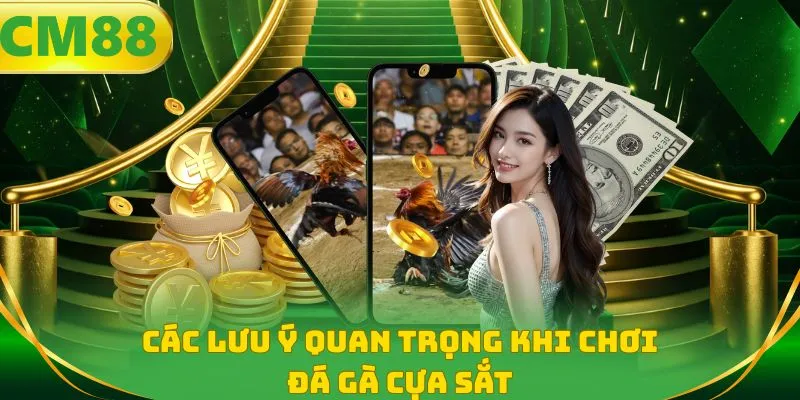 Các lưu ý quan trọng khi chơi đá gà cựa sắt