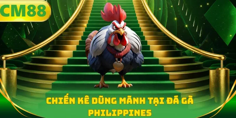 Chiến kê dũng mãnh tại đá gà Philippines