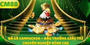Đá gà Campuchia - Đấu trường giải trí chuyên nghiệp đỉnh cao