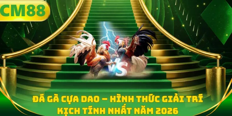 Đá gà cựa dao - Hình thức giải trí kịch tính nhất năm 2026