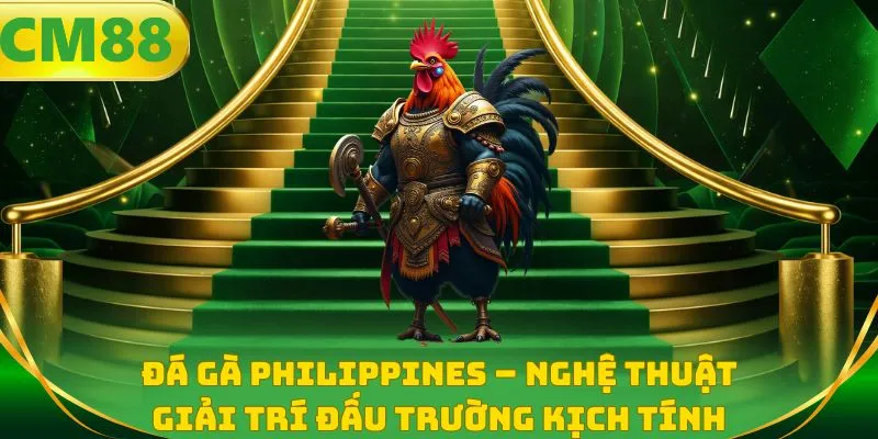 Đá gà Philippines - Nghệ thuật giải trí đấu trường kịch tính