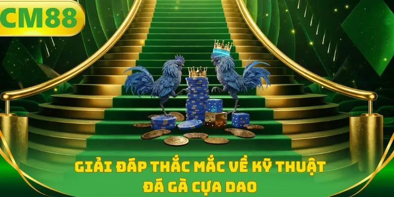 Giải đáp thắc mắc về kỹ thuật đá gà cựa dao