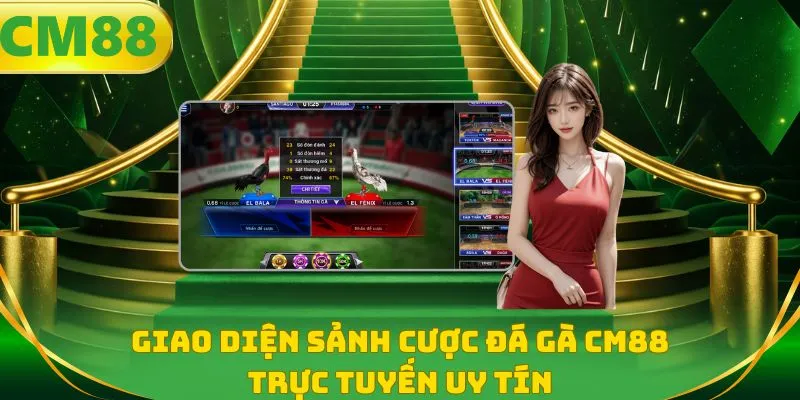 Giao diện sảnh cược đá gà CM88 trực tuyến uy tín