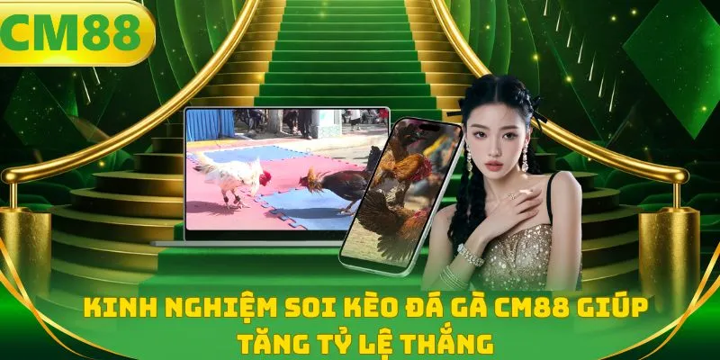 Kinh nghiệm soi kèo đá gà CM88 giúp tăng tỷ lệ thắng